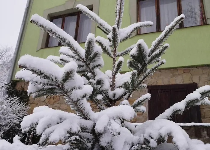 Гостевой дом бойківська фамілія Яремча