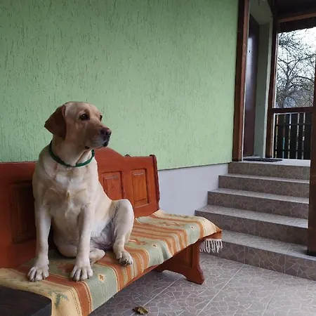 Boykivska Familiya Guest house